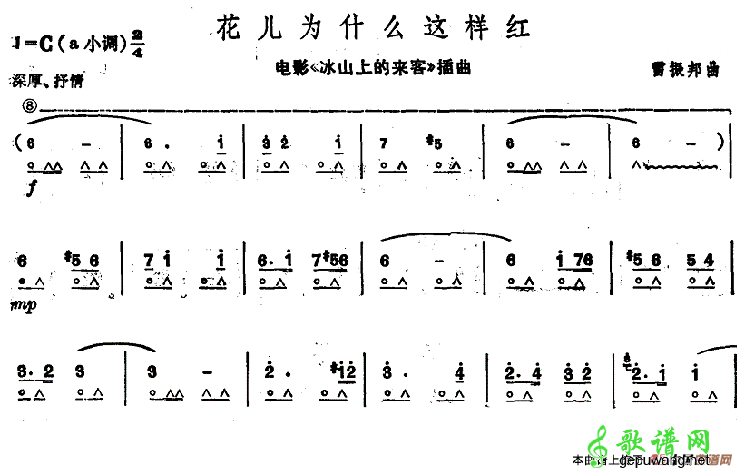 花儿为什么这样红