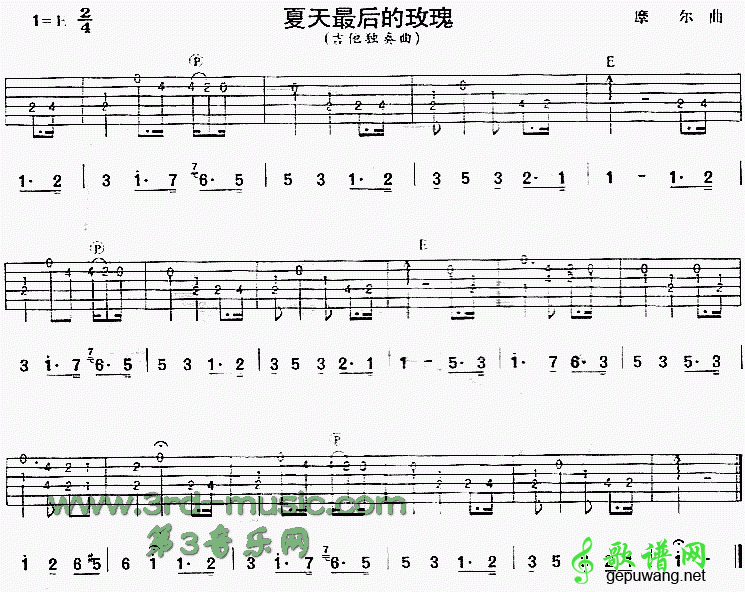 夏天最后的玫瑰