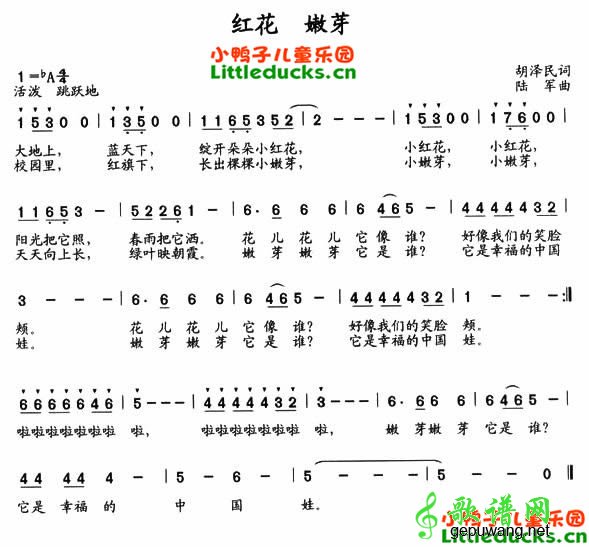 红花嫩芽