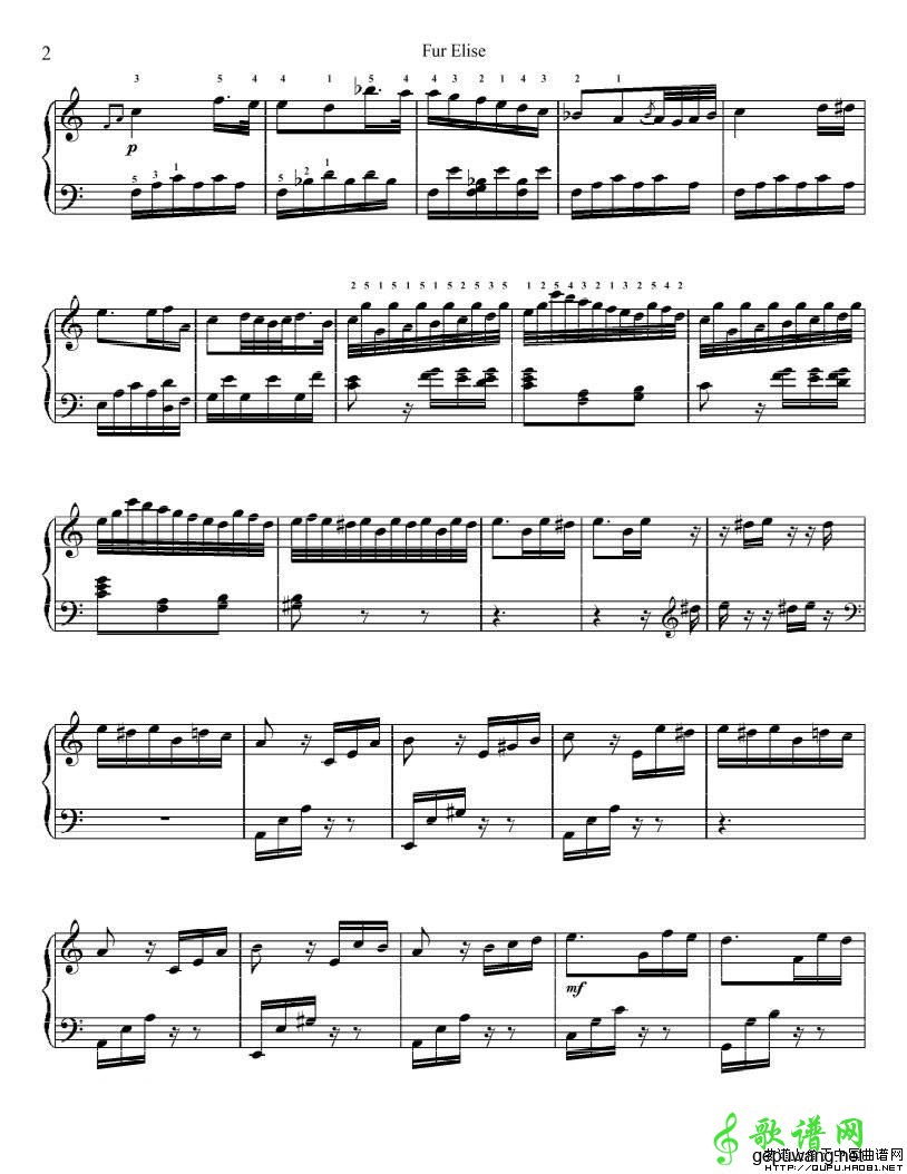 献给爱丽丝 _For Elise 