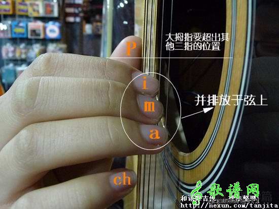 初学者正确手势