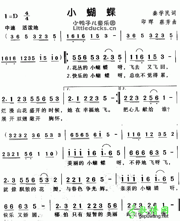 花丛中的小蝴蝶
