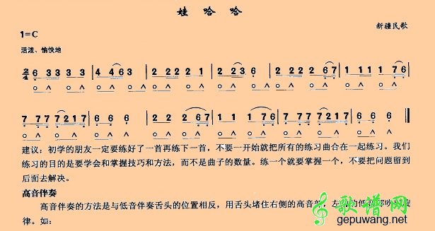 娃哈哈娃哈哈