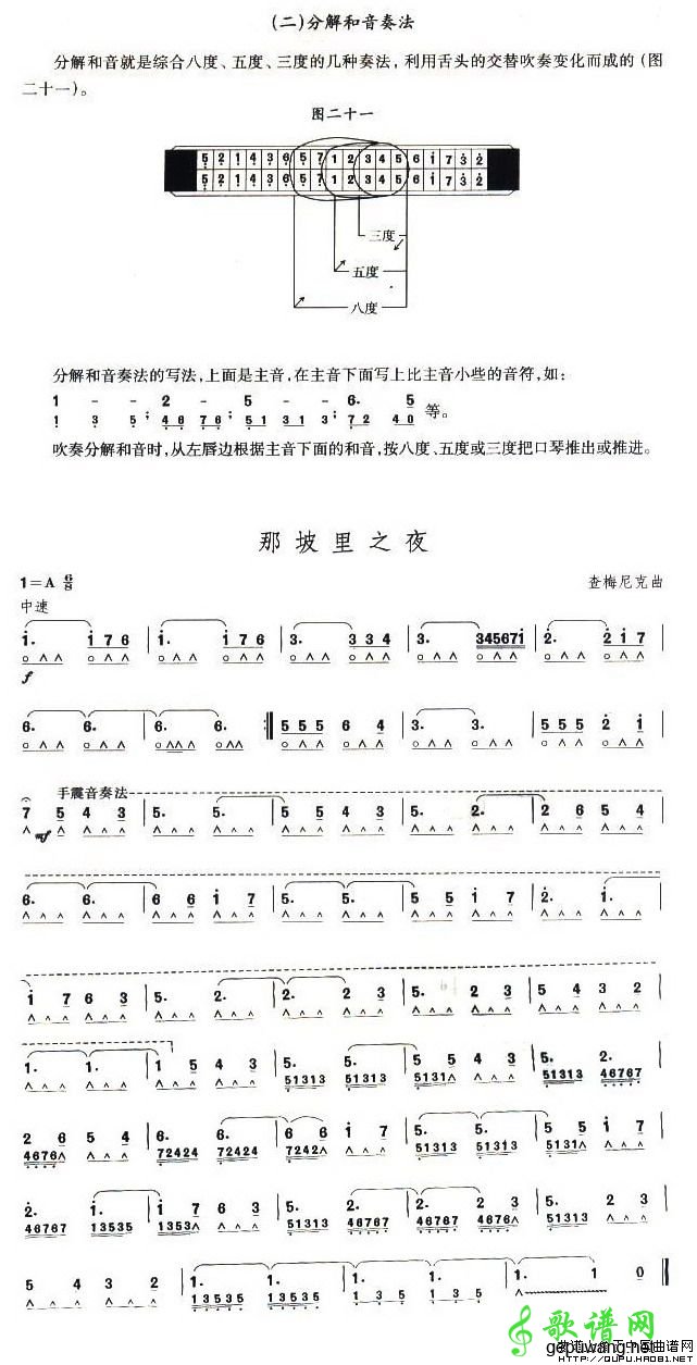那坡里之夜