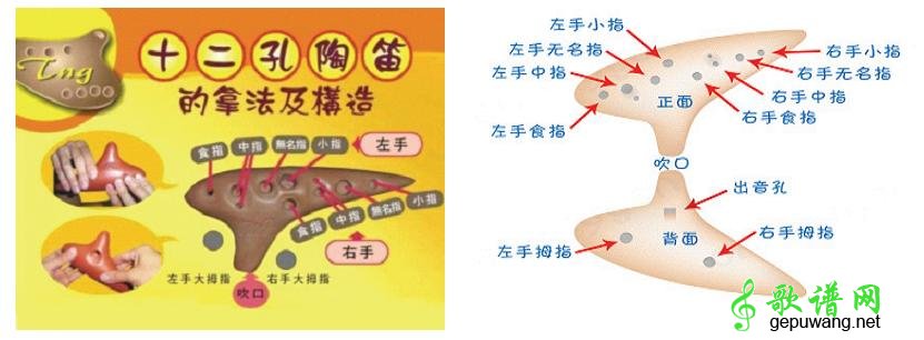 陶笛指法陶笛基本指法