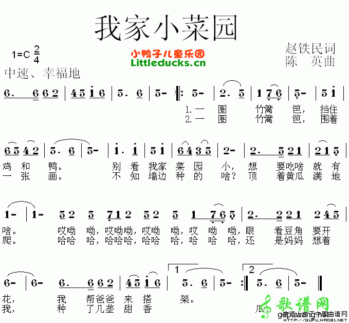 我家小菜园