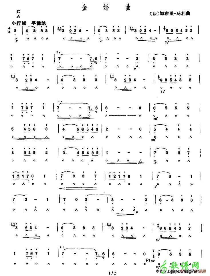 金婚曲