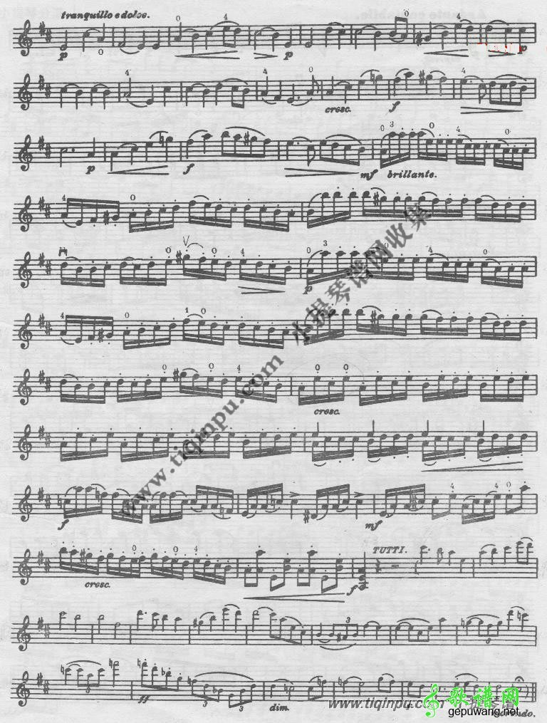 塞茨第五学生协奏曲