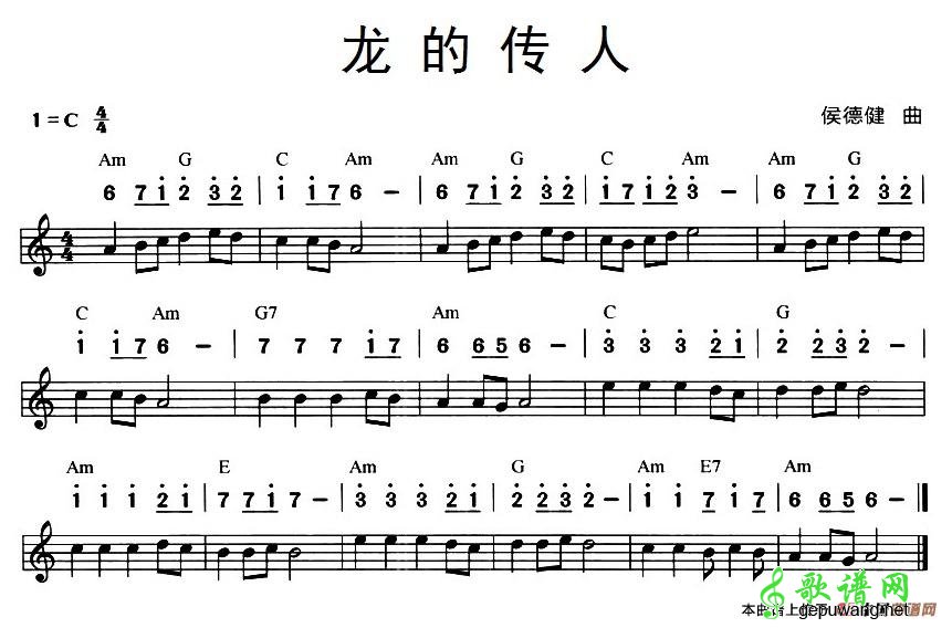龙的传人龙的传人