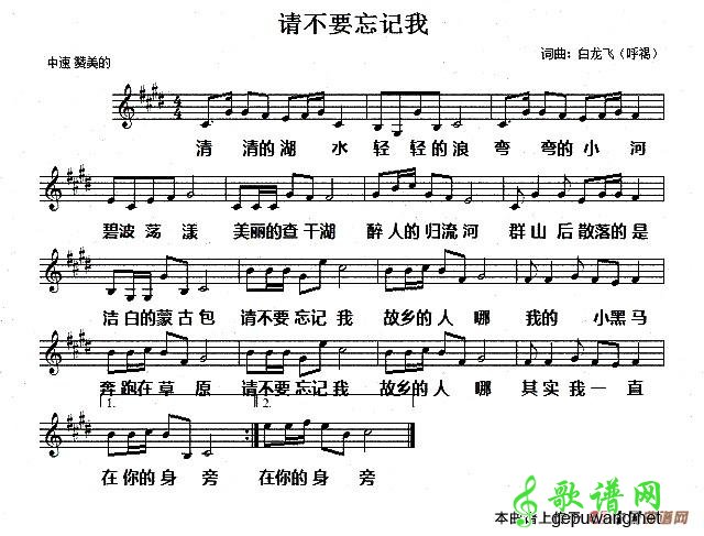 请不要忘记我为  