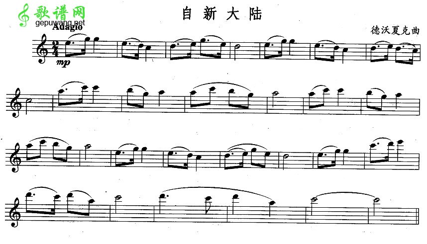 自新大陆