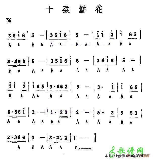 十朵鲜花