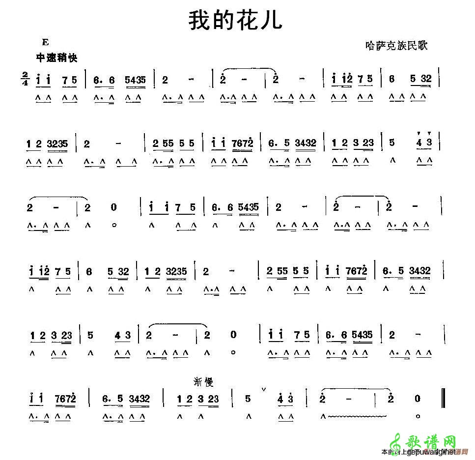 我的花儿