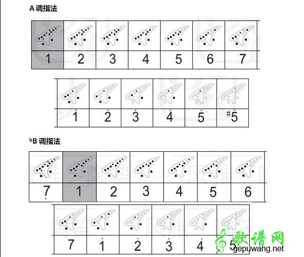 陶笛指法陶笛基本指法
