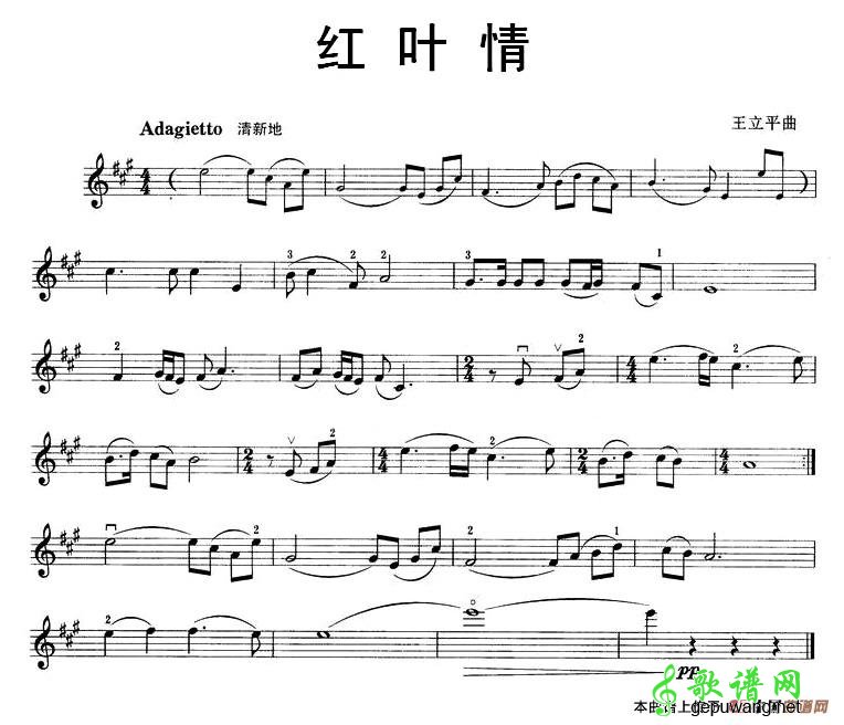 红叶情