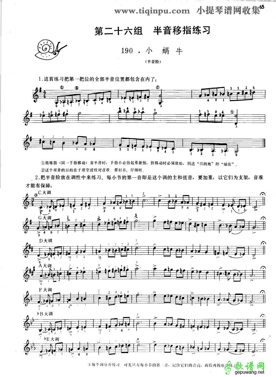 小蜗牛