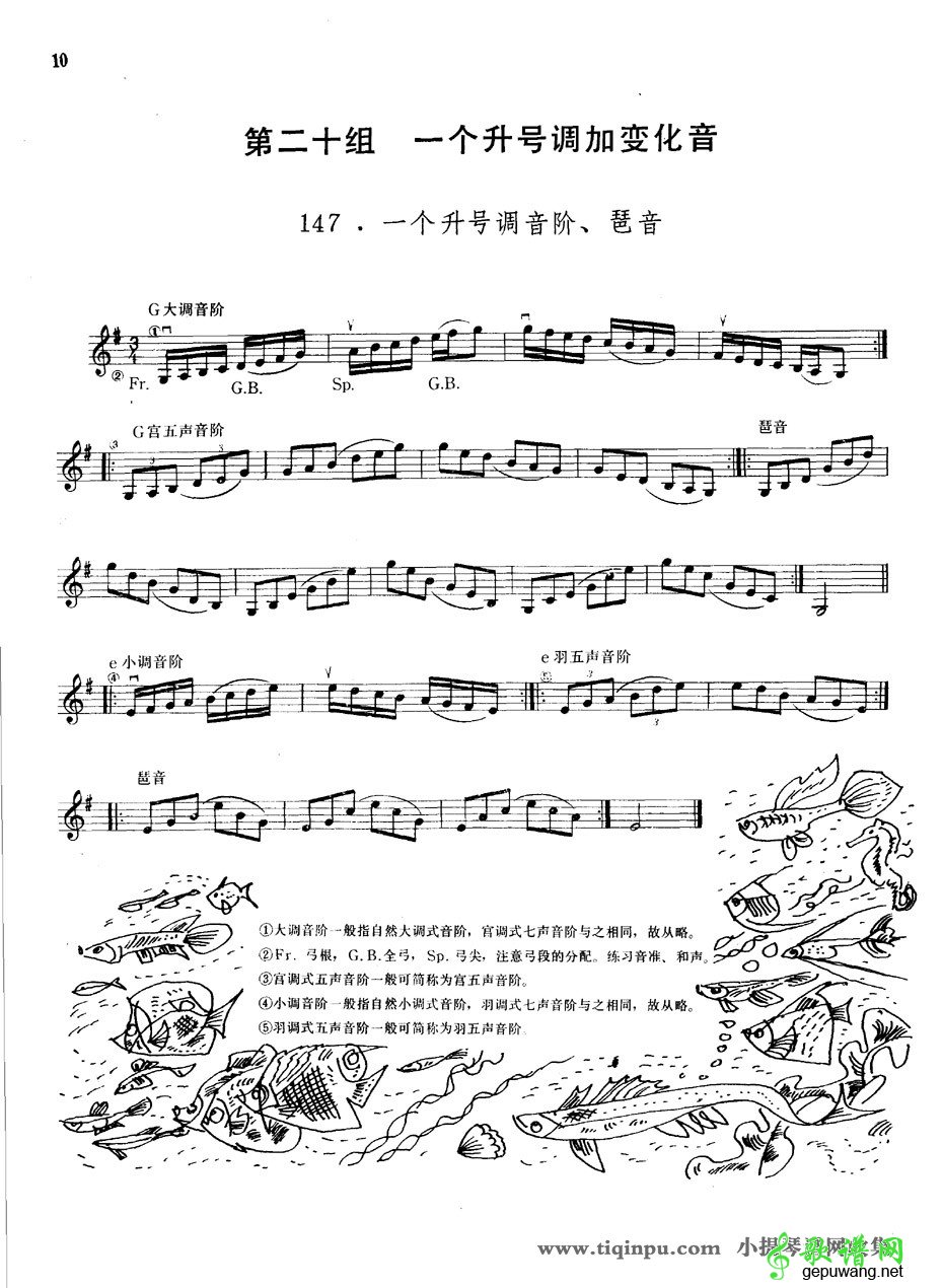 一个升号调音阶及琵音