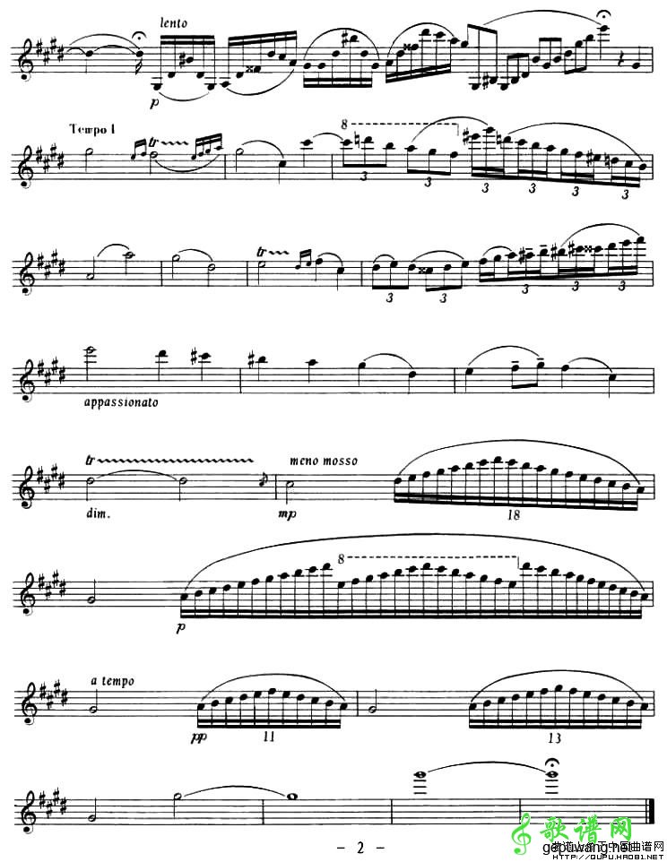 NOCTURNE