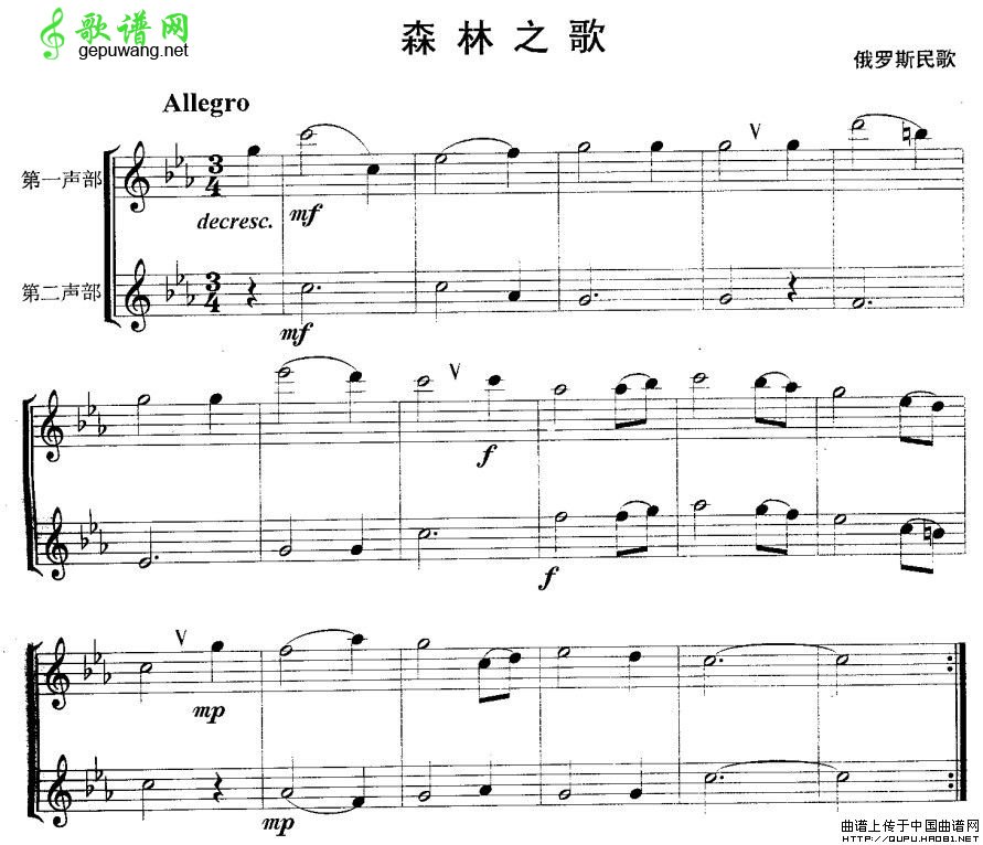 森林之歌
