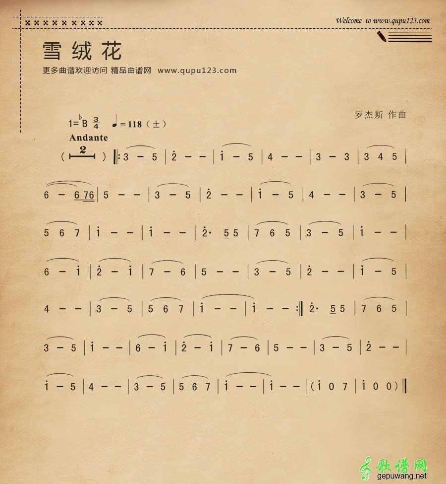 雪绒花