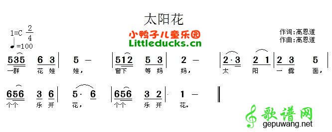 太阳花