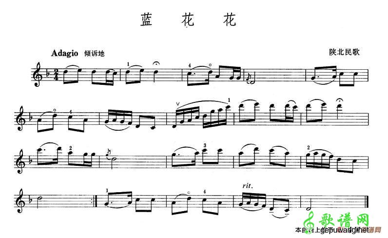 蓝花花
