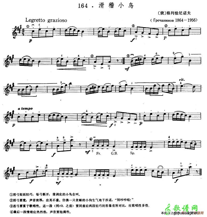 滑稽小鸟