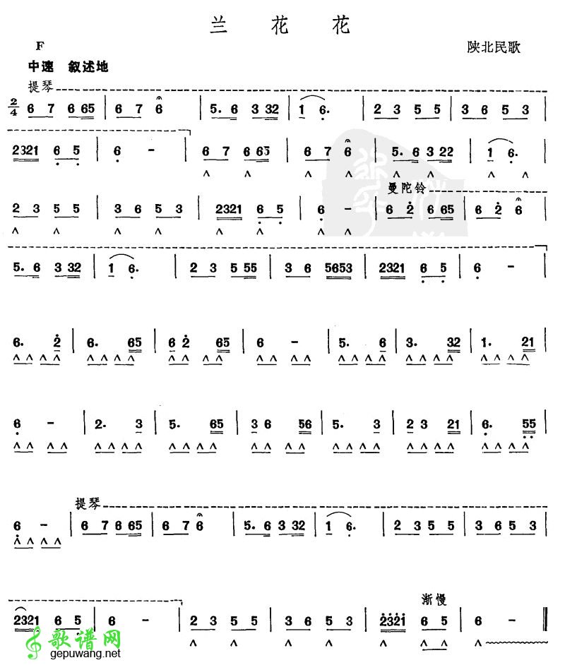 兰花花