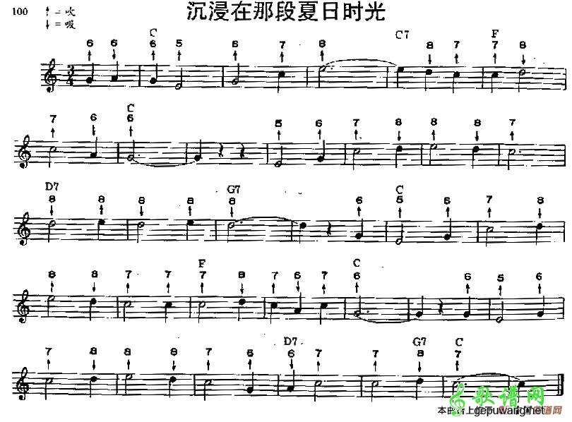 沉浸在那段夏日时光