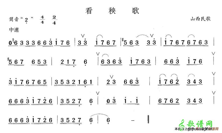 看秧歌