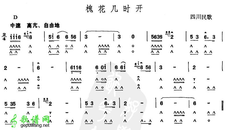 槐花几时开