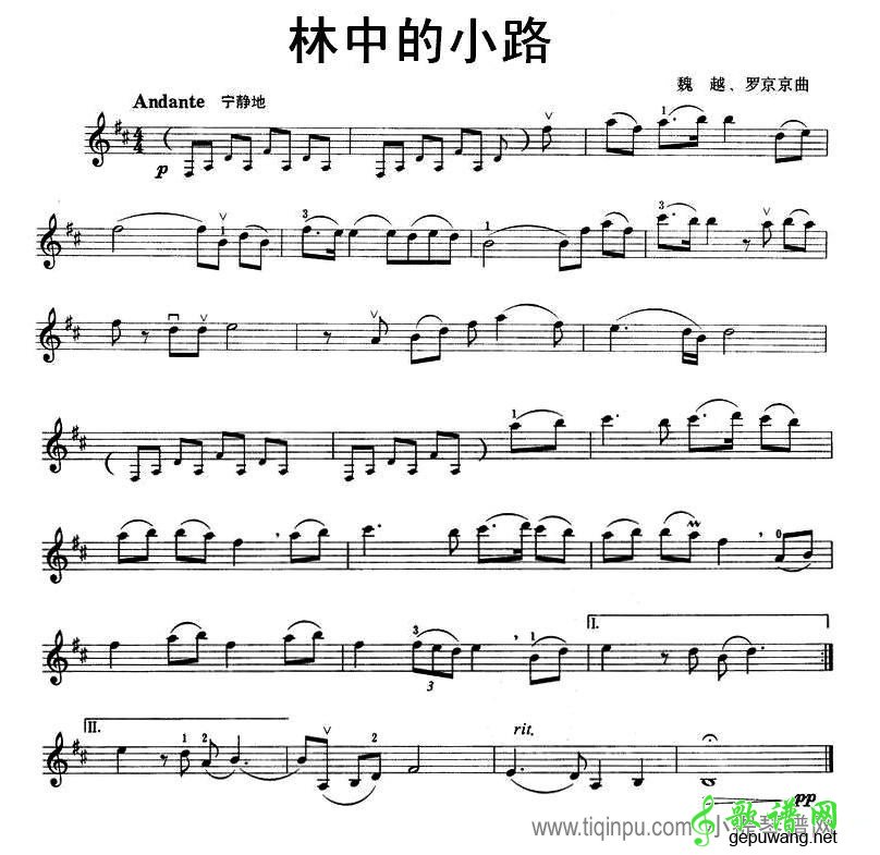 林中的小路