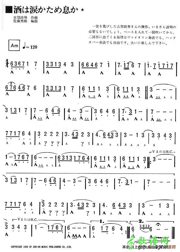 泪和酒