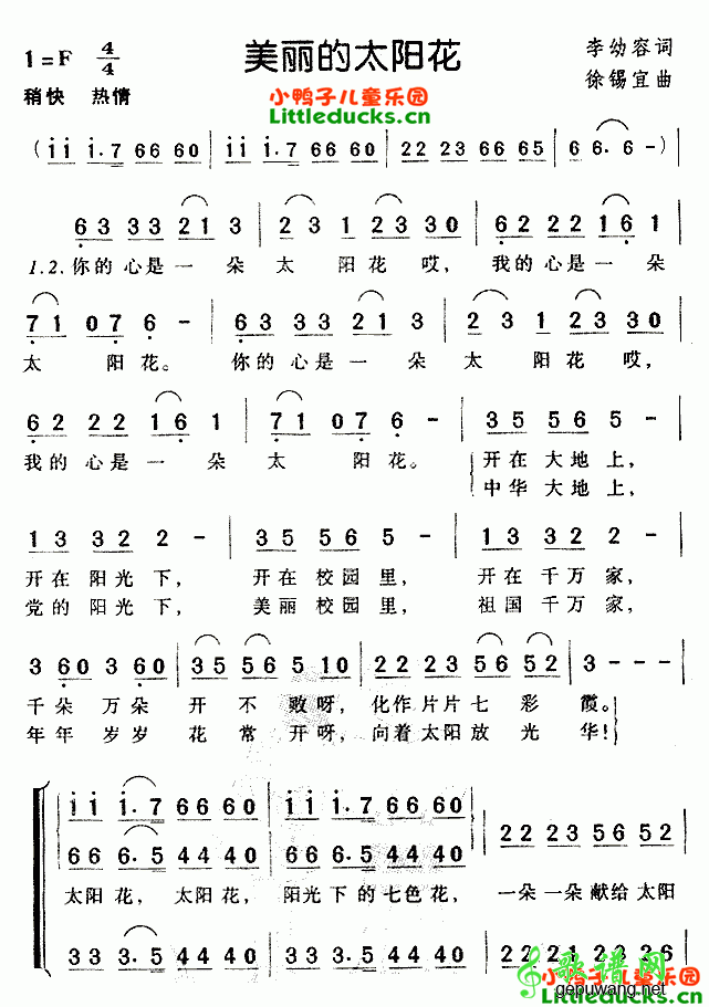 美丽的太阳花
