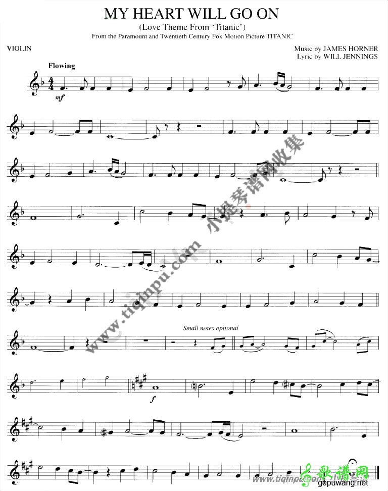我心永恒_MY Heart WILL GO ON
