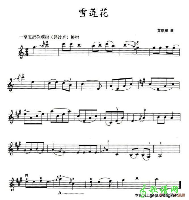 雪莲花