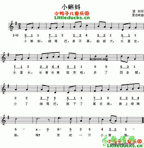 小蝌蚪_儿歌小蝌蚪