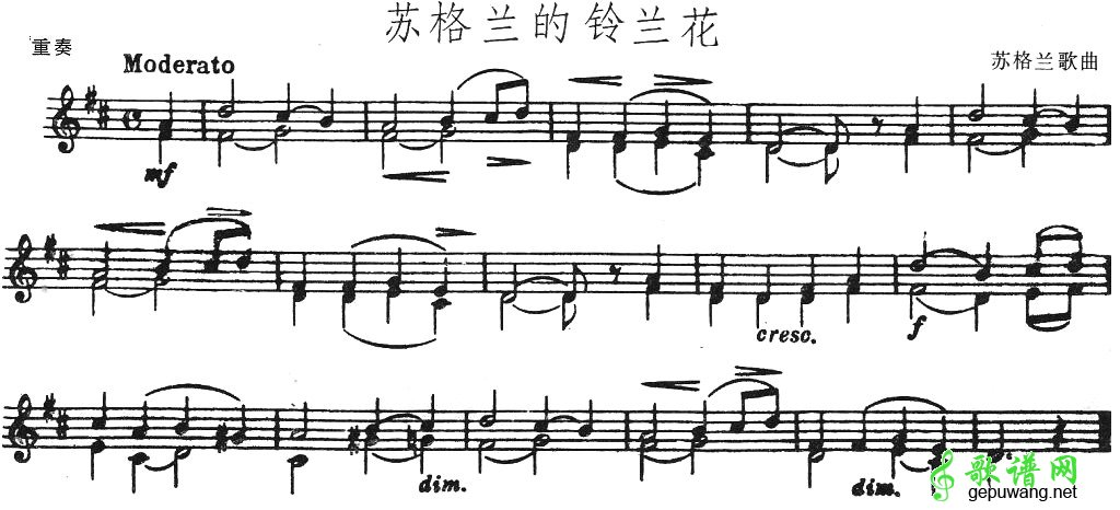 苏格兰的铃兰花