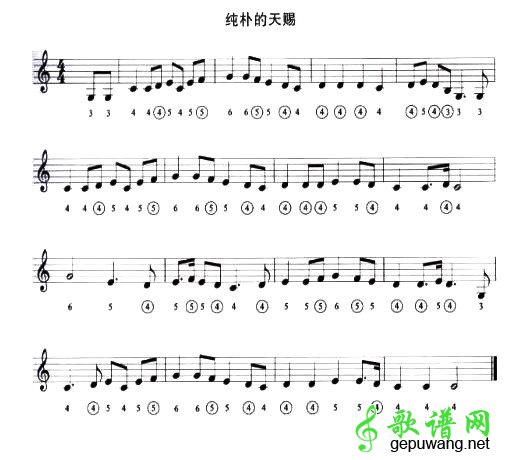 纯朴的天赐