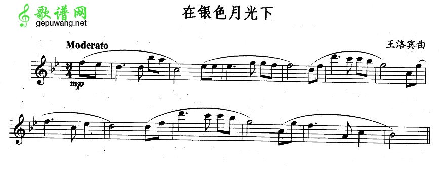在银色月光下