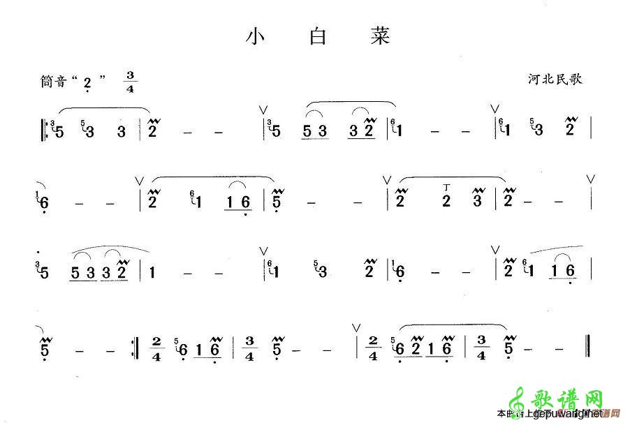 小白菜
