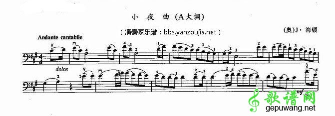 海顿小夜曲