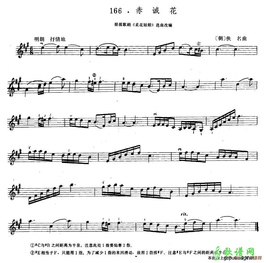赤诚花