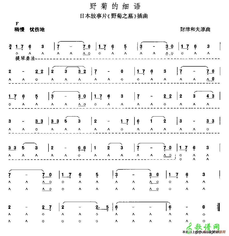 野菊的细语