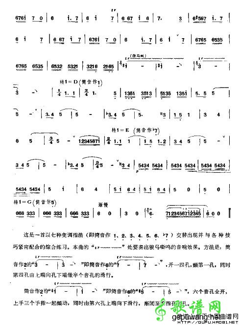 我的骏马