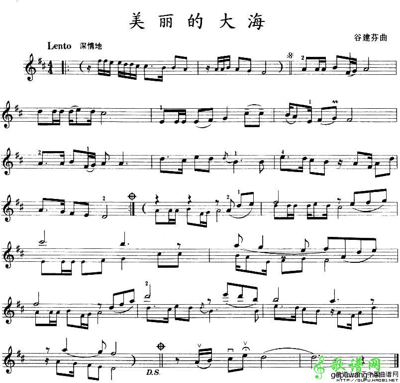 美丽的大海